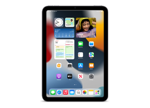 iPad mini 6 (Cellular)