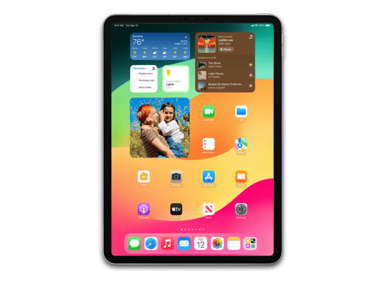 iPad Pro (11-inch, Cellular) (4th generation)